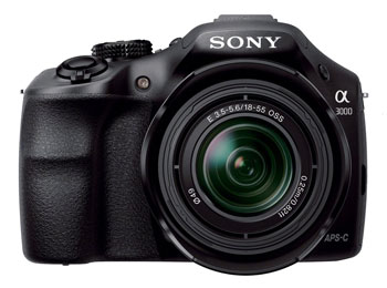 The low budget Sony A3000 -- a wolf in sheep’s clothing with the heart of a NEX.