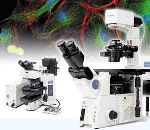 Olympus builds world's best medical and biological microscopes. Now that's a market, not consumer cameras.