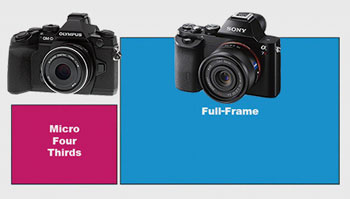 About same weight, same size, different sensors. What Micro Four Thirds advantage?