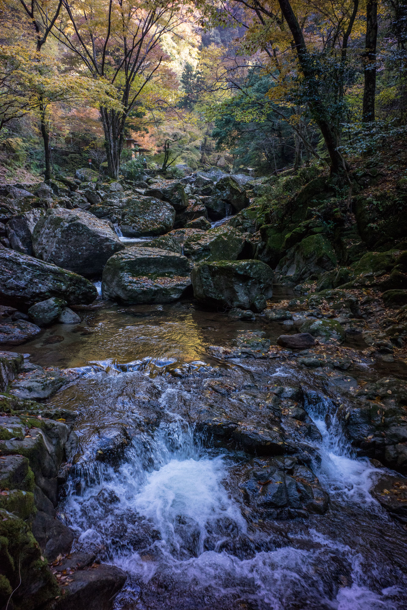 Where should I take you in Japan? , Want to see authentic Japan? , Book a  private tour with us! , @sakura__travels , https://sakura-travels.com,  #japantravel #traveljapan #visitjapan #日本旅行 #日本旅行 ..., image size:1335x2000