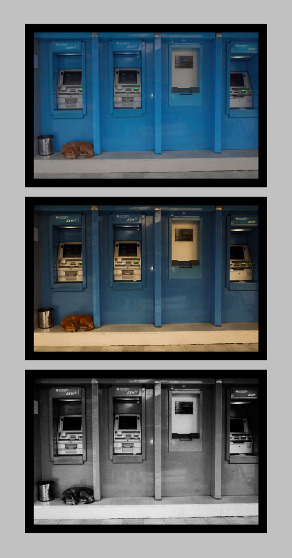 Dog at ATM | Ronn Aldaman