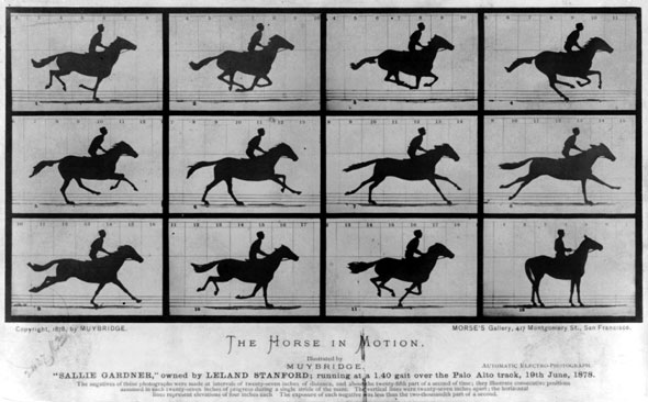 Eadweard Muybridge's famous The Horse in Motion