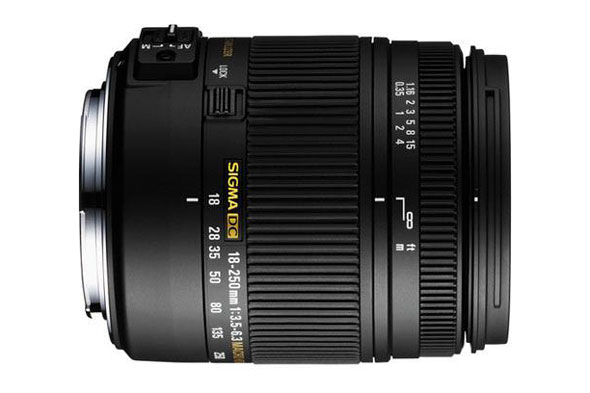 The Sigma 18-250mm F3.5-6.3 -- great walk-around and all-in-one zoom lens.