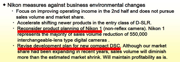 Excerpt from Nikon financial report Q1/2013