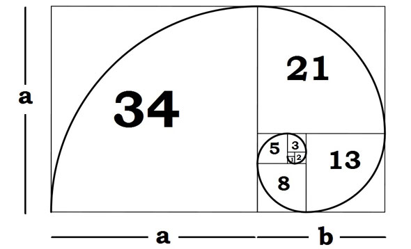 The "divine proportion" of the golden ratio is close to film's 36mm x 24mm equivalent...