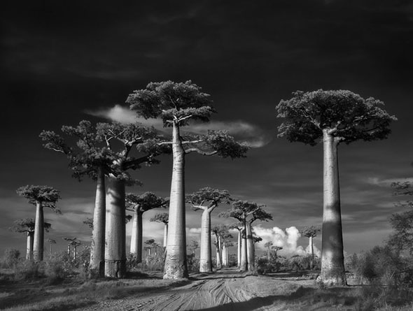 Beth Moon -- Portraits of Time
