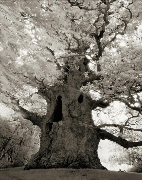 Beth Moon -- Portraits in Time