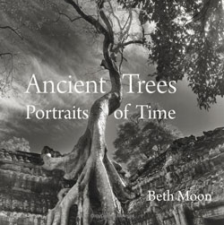 Ancient Trees -- Portraits of Time by Beth Moon, available on Amazon