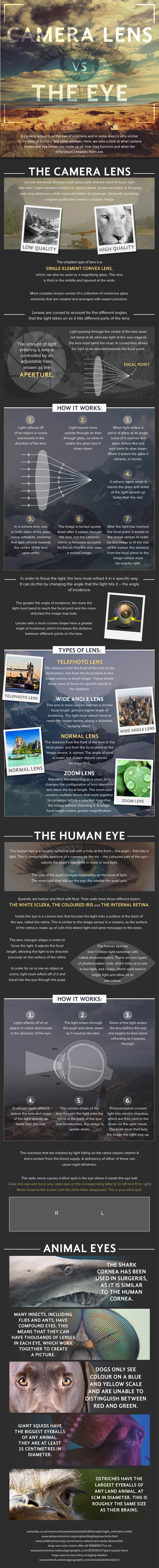 What type of "lens" is the human eye? | Mediaworks / Clifton Cameras