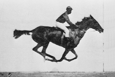Eadweard Muybridge's famous Horse in Motion, world's probably first (unintended) GIF.